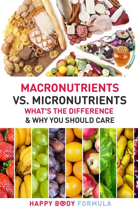 micronutrients and macronutrients definition